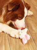 PETSIN Easter Rabbit Dog Toys