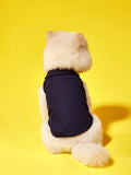 PETSIN Embroidered Polo Pet Shirt
