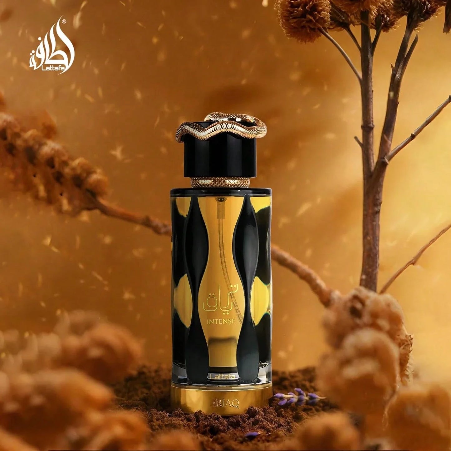 LocalLattafa Teriaq Intense Eau De Parfum For Unisex – 3.4 Fl. Oz | Warm Spicy Amber Sweet Scent, Bold Long-Lasting Fragrance