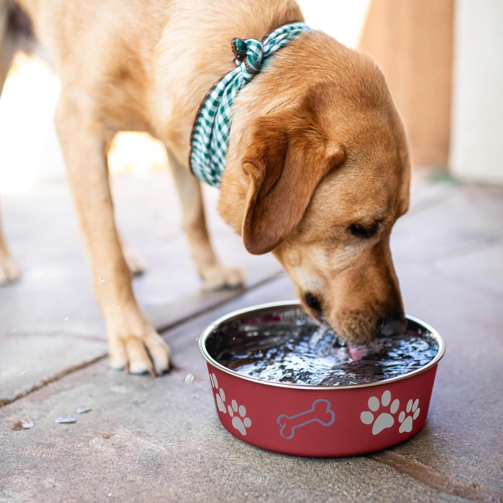 Loving Pets Bella Dog Bowls- Stainless Steel Dog & Cat Bowls - Spill Proof Dog Food Bowl, Cat Bowl, Puppy Essentials & Pet Supplies Great for Home & Travel (Medium 20-25 lbs, Merlot)