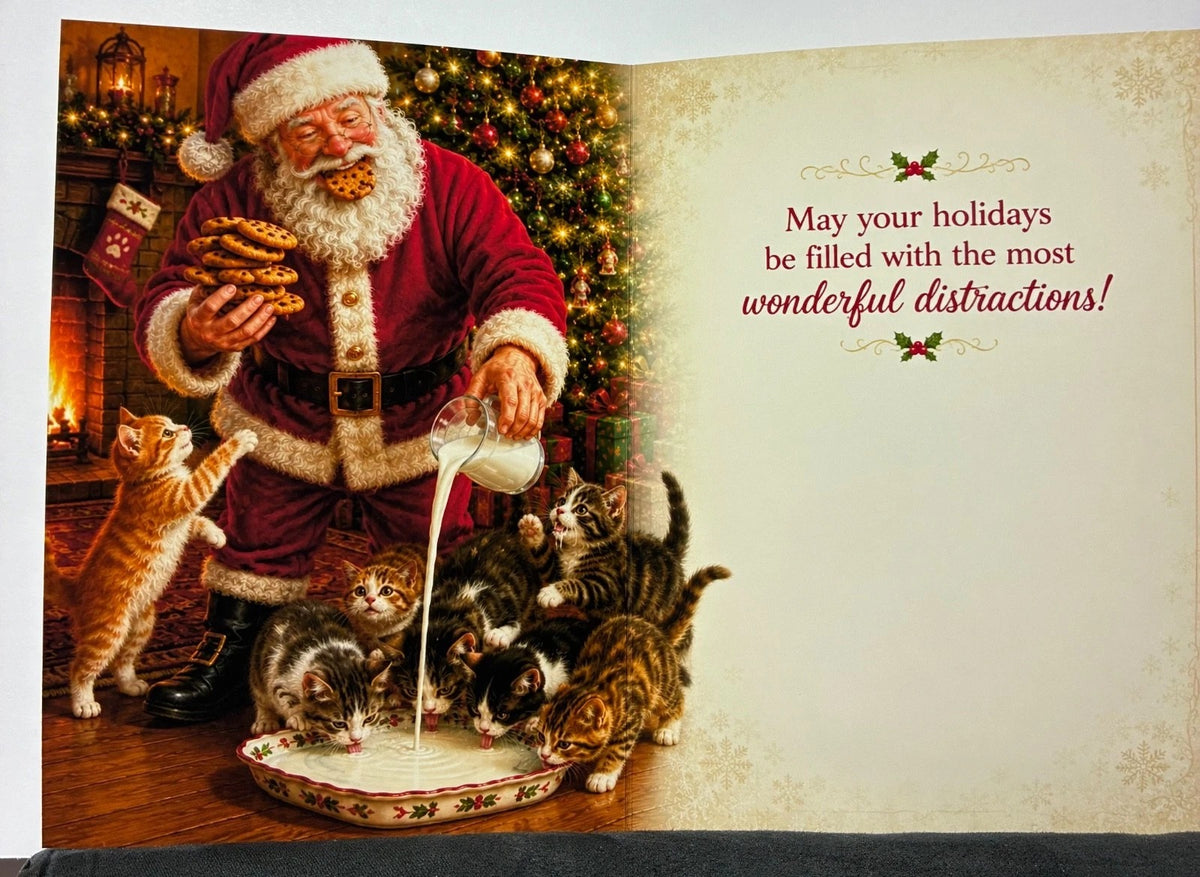 Funny Cat Santa Christmas Card