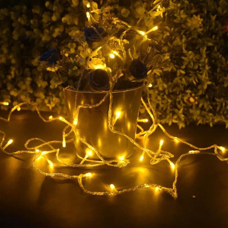 LED Fairy String Christmas Lights
