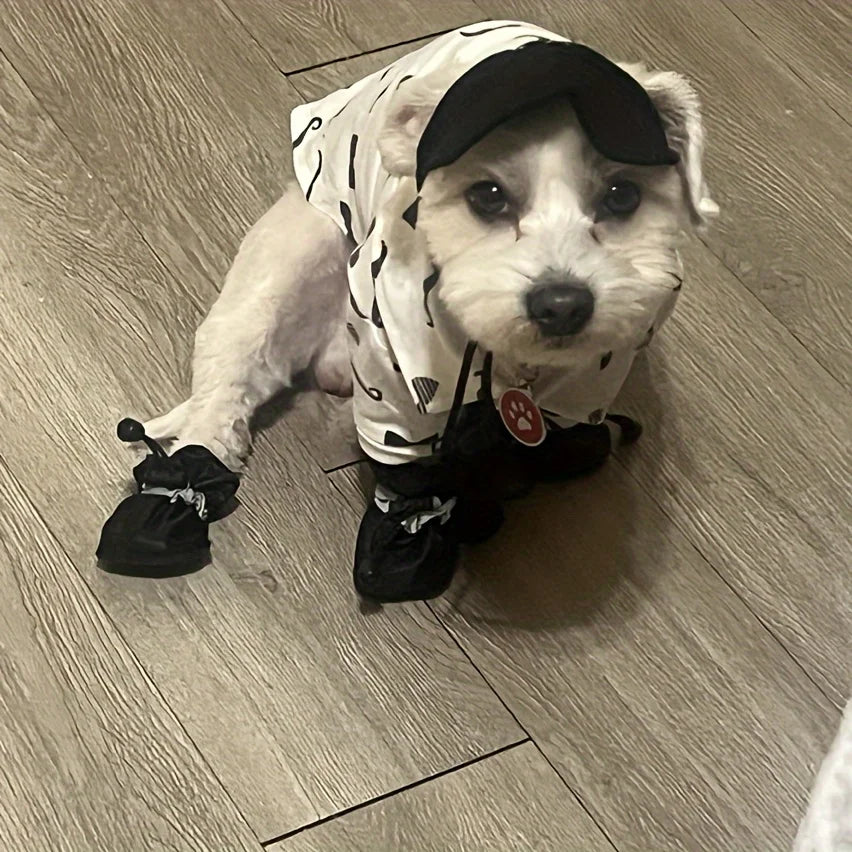 Water-Resistant Dog Shoes Set