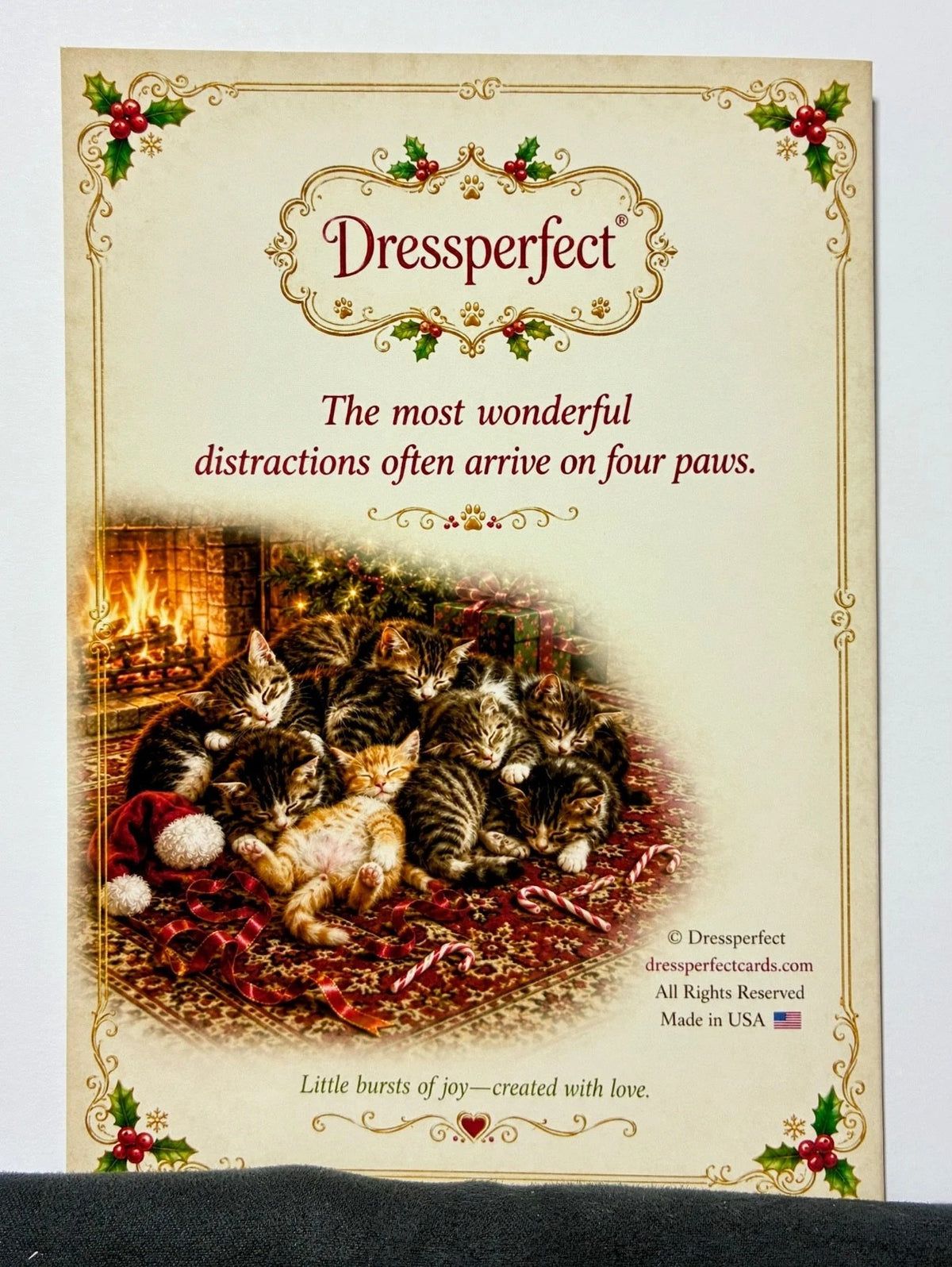 Funny Cat Santa Christmas Card